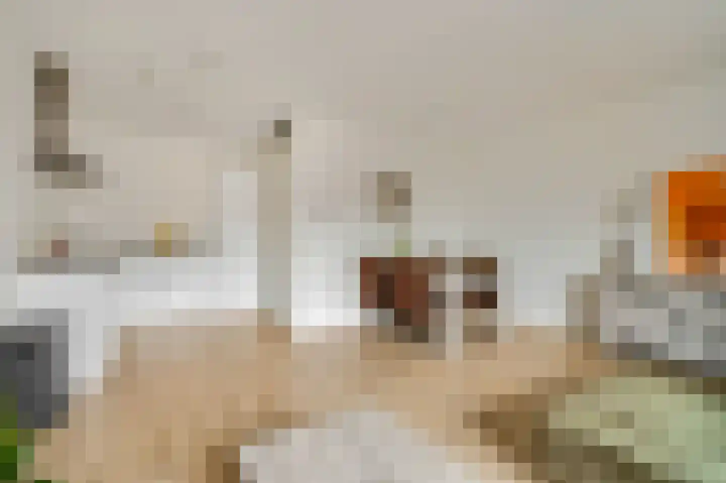 Leeuwerikweide 51 Renswoude thumbnail 6