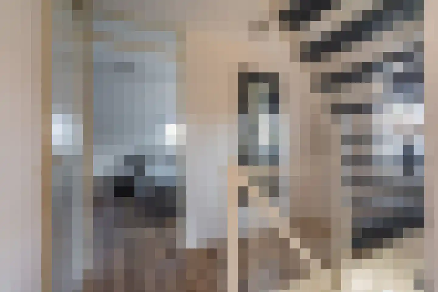 Leeuwerkeslaan 10 Finsterwolde thumbnail 21
