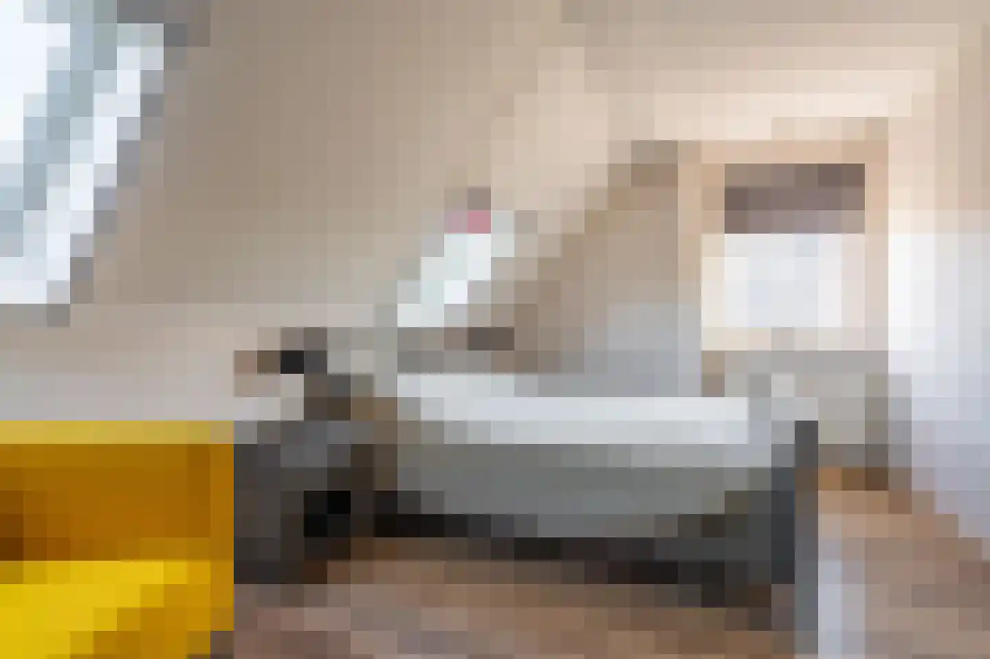 Leeuwerkeslaan 10 Finsterwolde thumbnail 23
