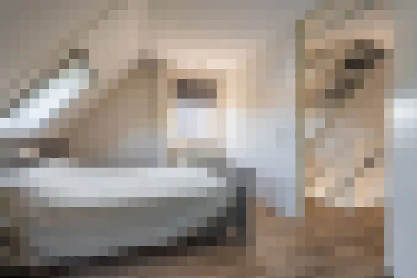 Leeuwerkeslaan 10 Finsterwolde thumbnail 24