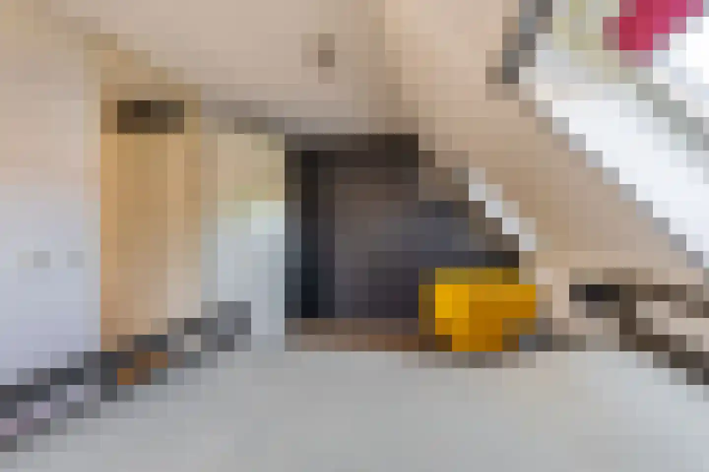 Leeuwerkeslaan 10 Finsterwolde thumbnail 25