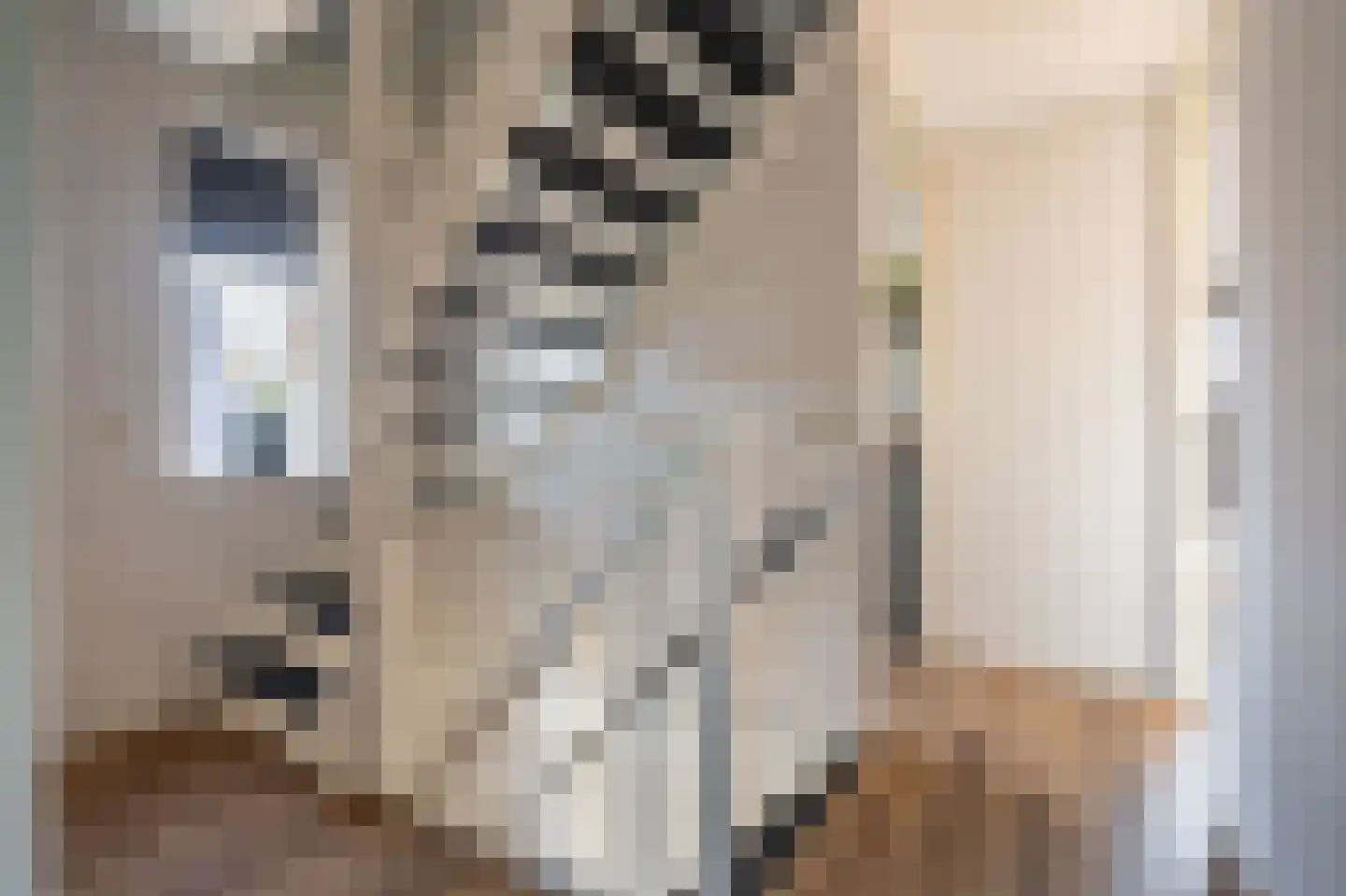 Leeuwerkeslaan 10 Finsterwolde thumbnail 26