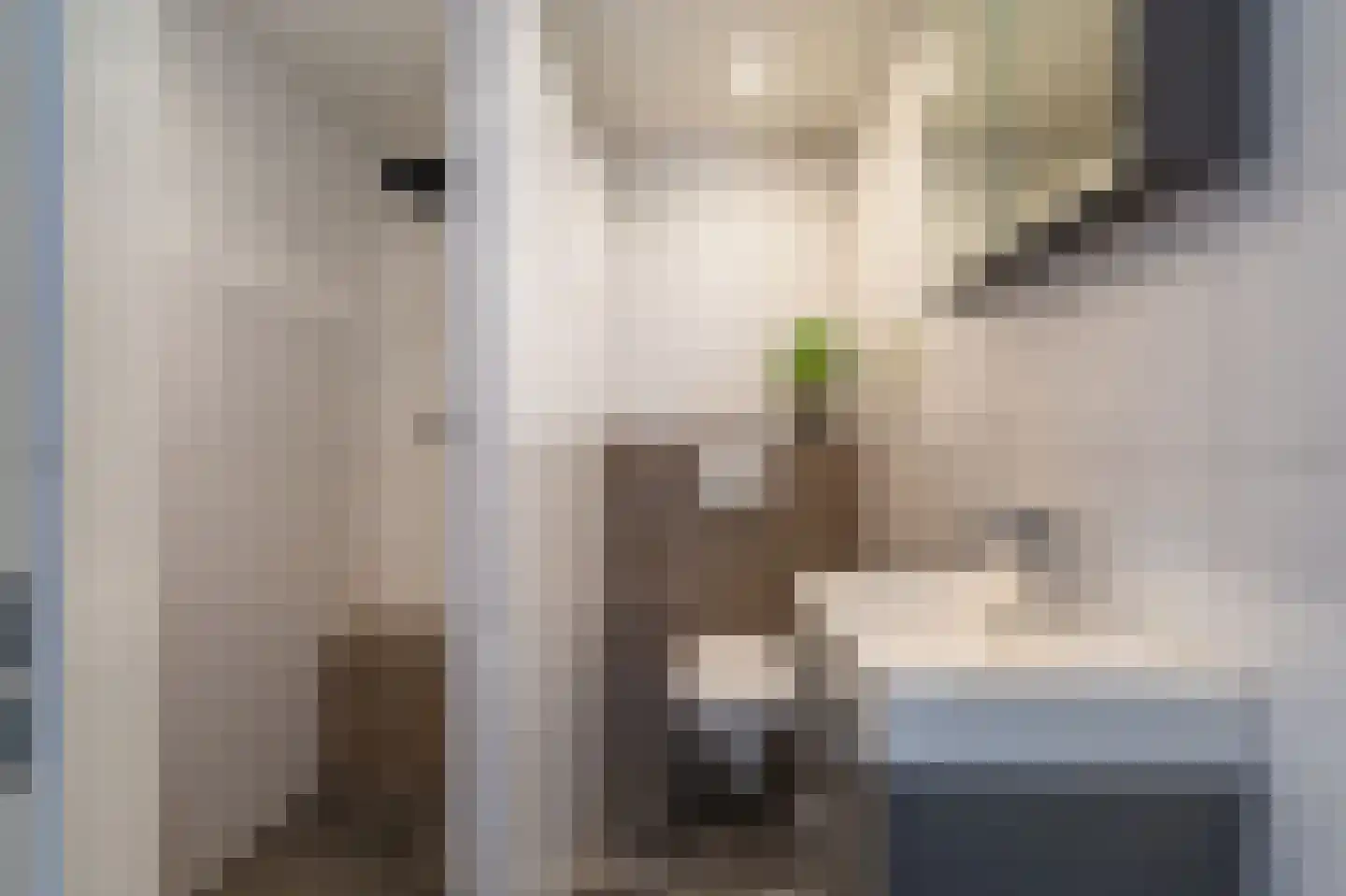 Leeuwerkeslaan 10 Finsterwolde thumbnail 31