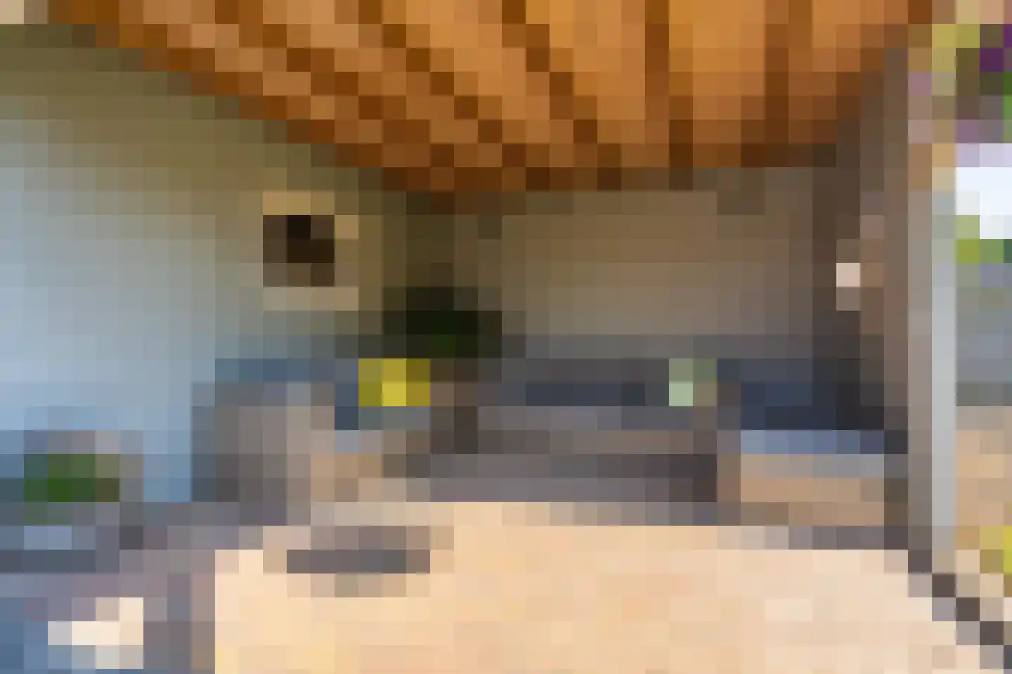 Leeuwerkeslaan 10 Finsterwolde thumbnail 40