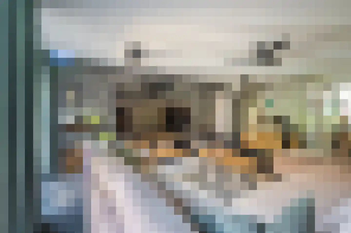 Leeuwerkeslaan 6 Finsterwolde thumbnail 10