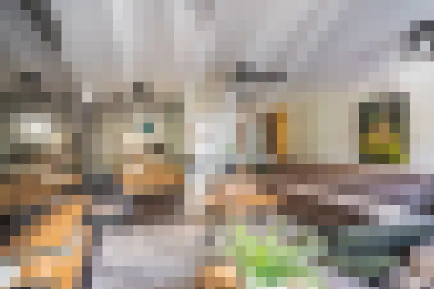 Leeuwerkeslaan 6 Finsterwolde thumbnail 12