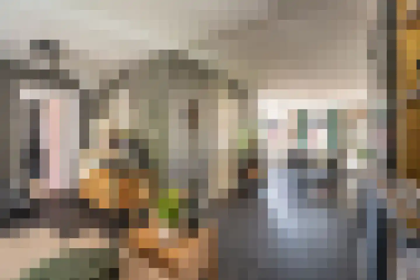 Leeuwerkeslaan 6 Finsterwolde thumbnail 16