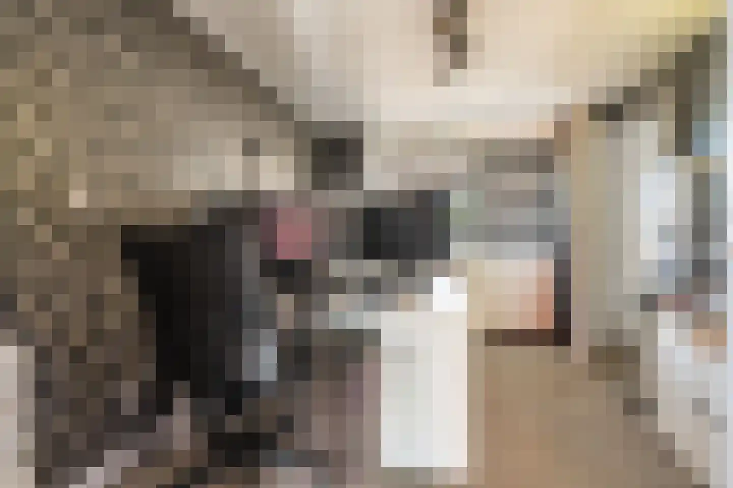 Leeuwerkeslaan 6 Finsterwolde thumbnail 23