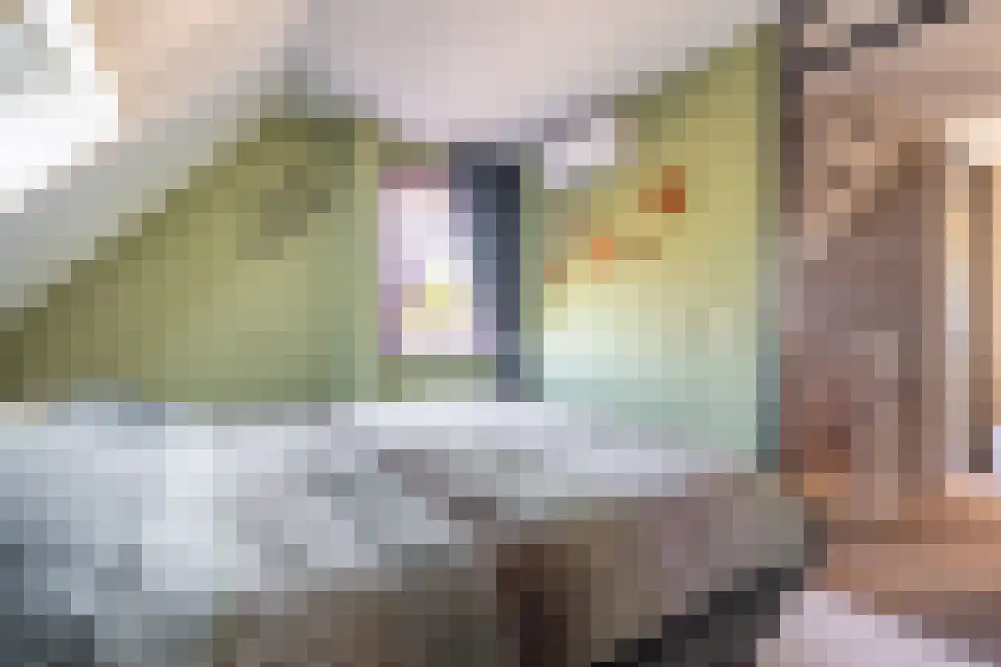 Leeuwerkeslaan 6 Finsterwolde thumbnail 28
