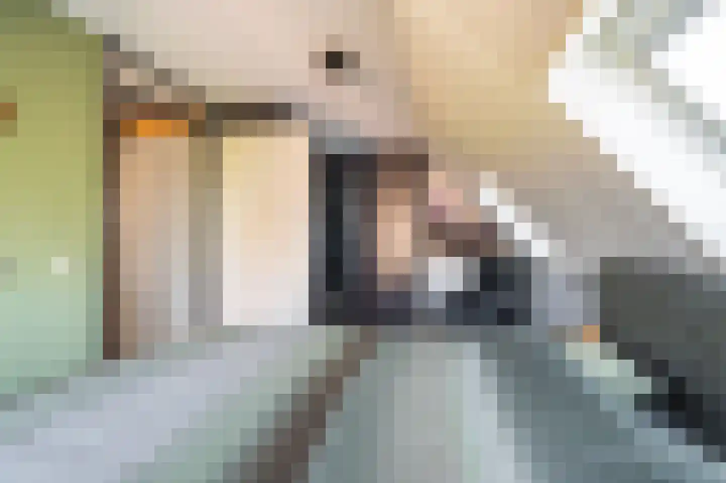 Leeuwerkeslaan 6 Finsterwolde thumbnail 29