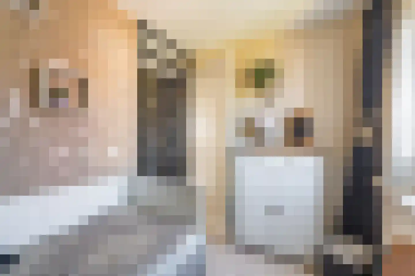 Leeuwerkeslaan 6 Finsterwolde thumbnail 32