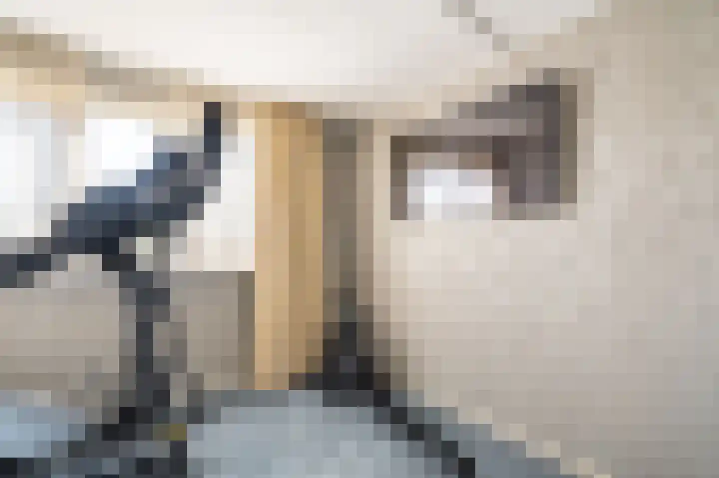 Leeuwerkeslaan 6 Finsterwolde thumbnail 33