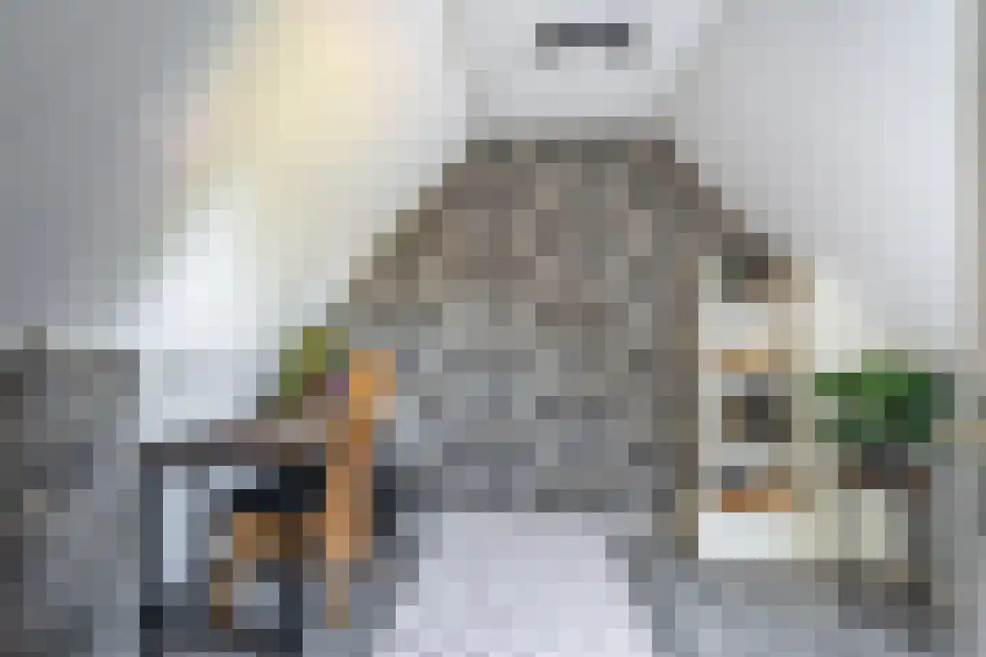 Leeuwerkeslaan 6 Finsterwolde thumbnail 37