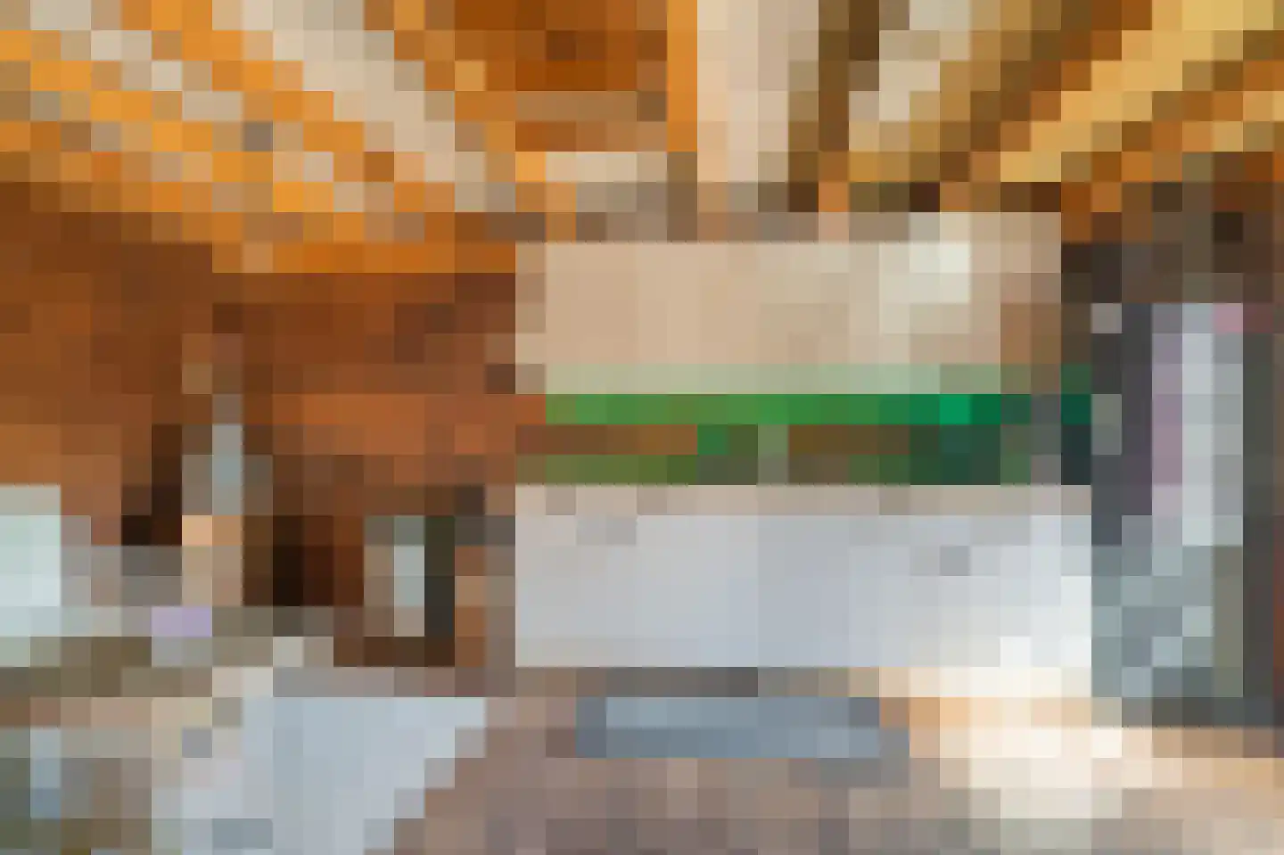Leeuwerkeslaan 6 Finsterwolde thumbnail 43