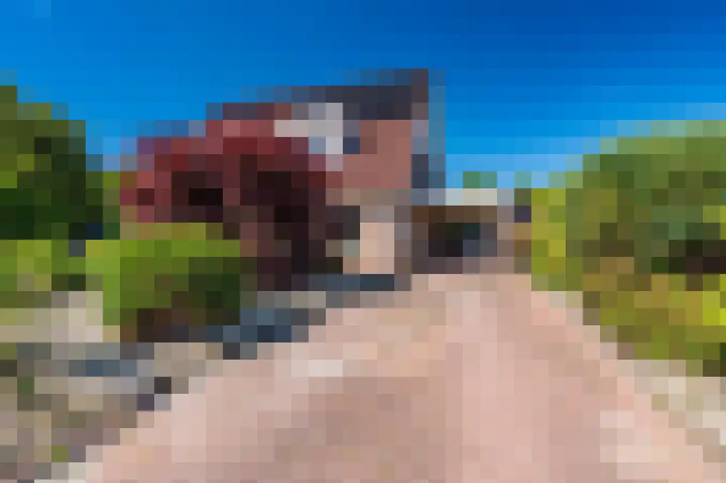 Leeuwerkeslaan 6 Finsterwolde thumbnail 48