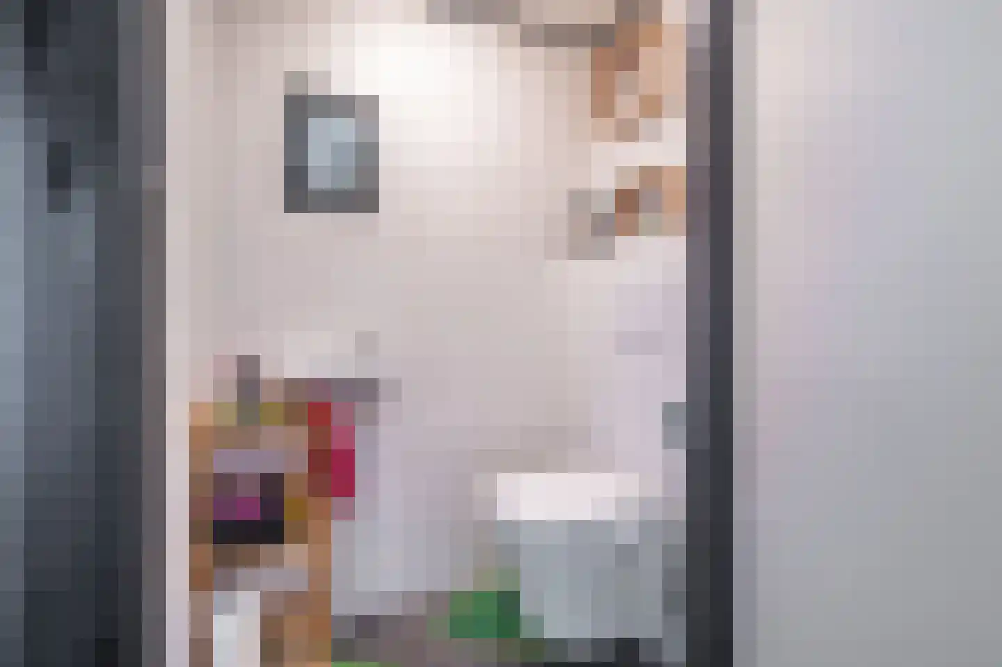 Leeuwerkeslaan 6 Finsterwolde thumbnail 7