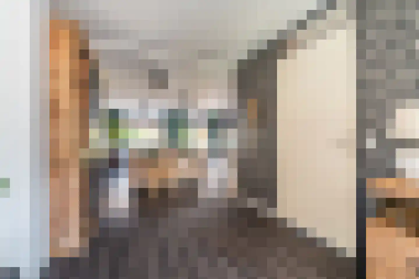 Leeuwerkeslaan 6 Finsterwolde thumbnail 8