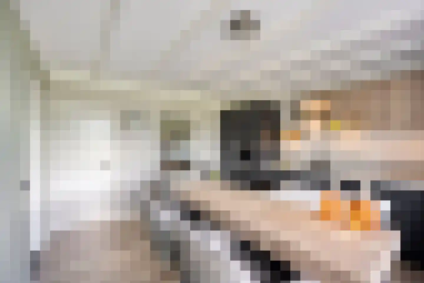 Leeuwerweg 8 Melderslo thumbnail 12