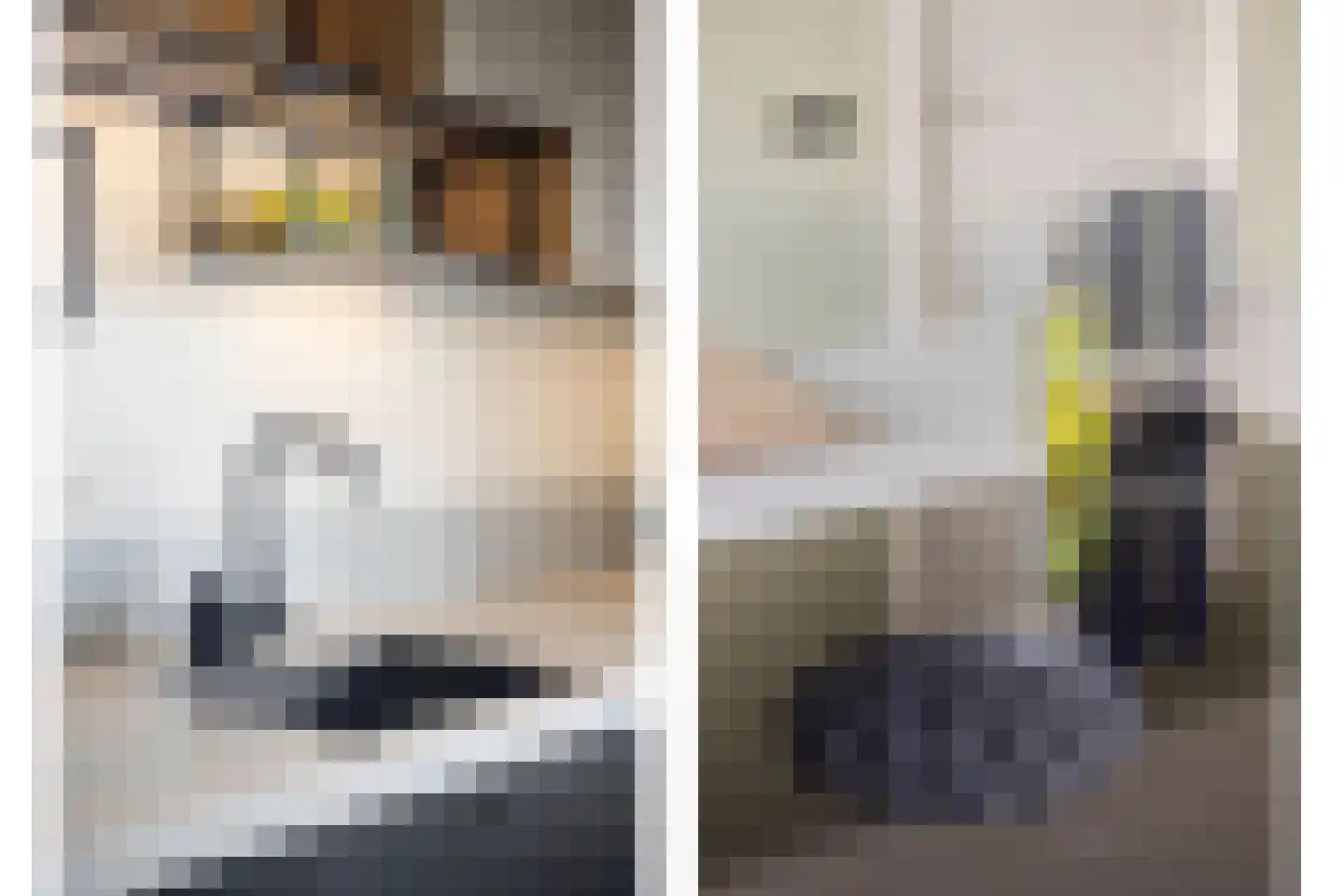 Leeuwerweg 8 Melderslo thumbnail 13