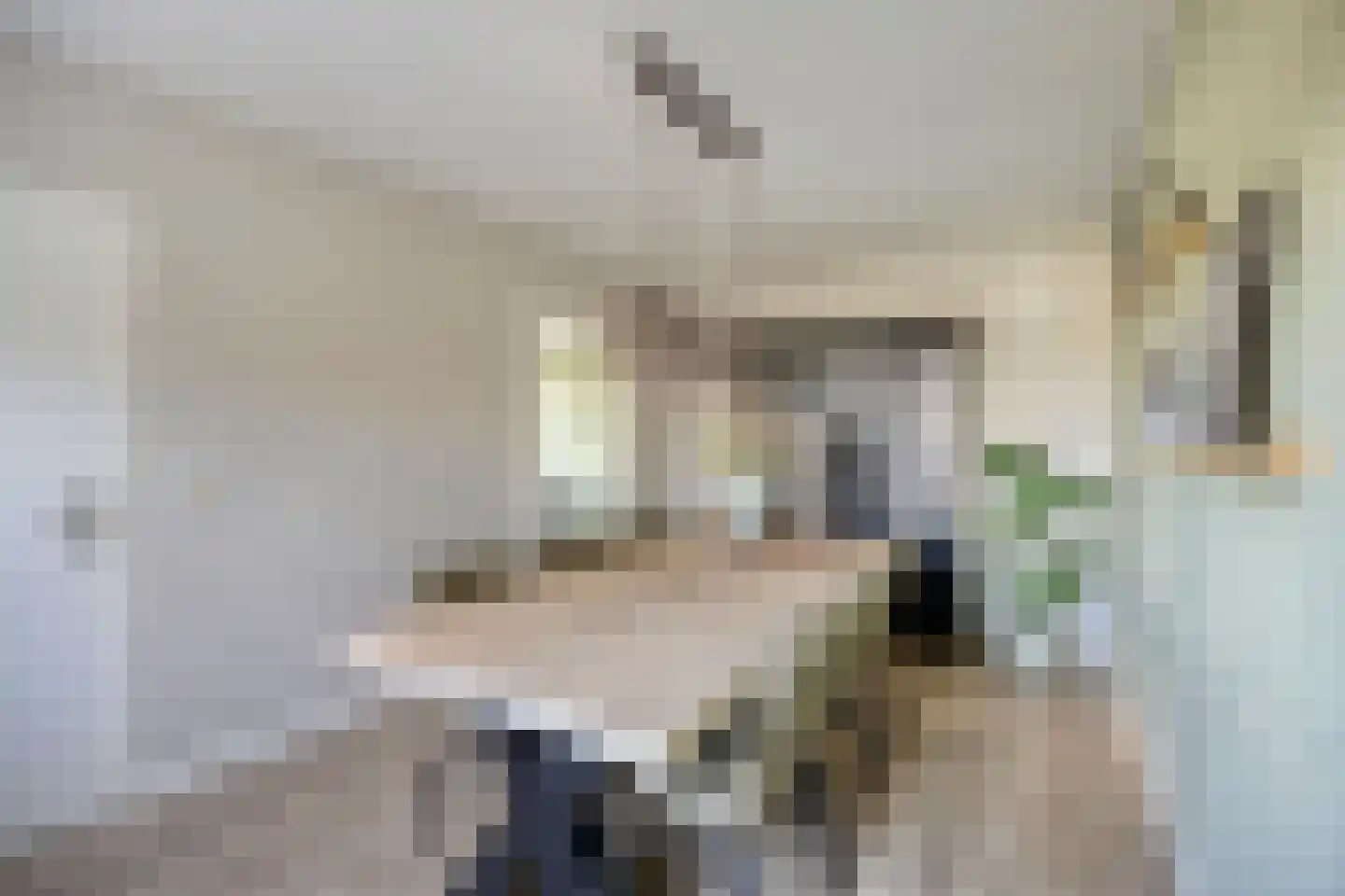 Leeuwerweg 8 Melderslo thumbnail 16