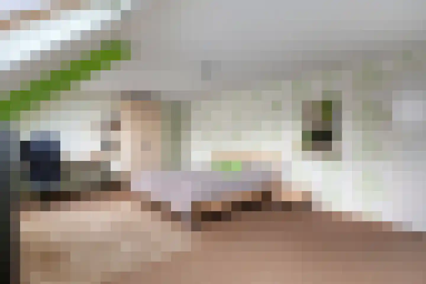 Leeuwerweg 8 Melderslo thumbnail 29