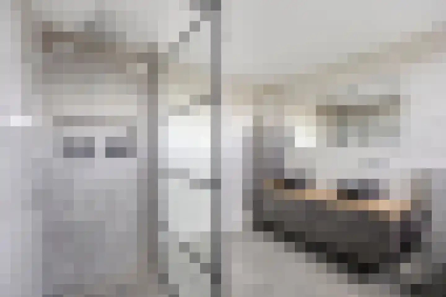 Leeuwerweg 8 Melderslo thumbnail 33