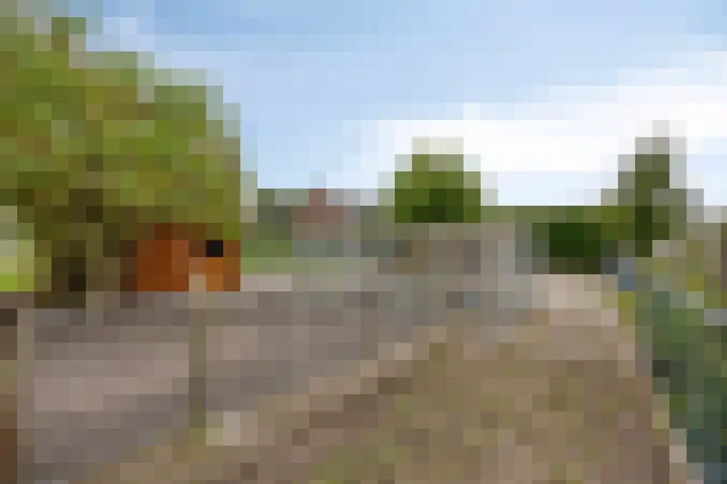 Leeuwerweg 8 Melderslo thumbnail 55