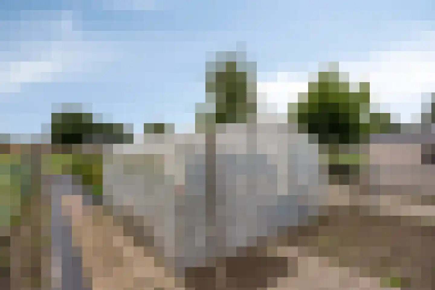 Leeuwerweg 8 Melderslo thumbnail 56