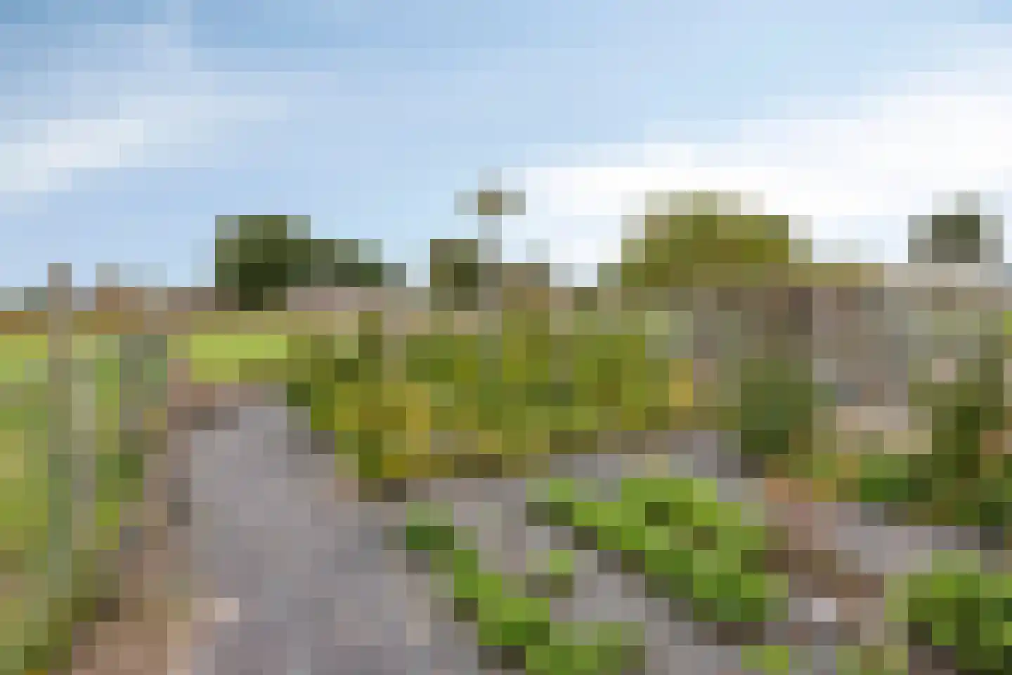 Leeuwerweg 8 Melderslo thumbnail 57
