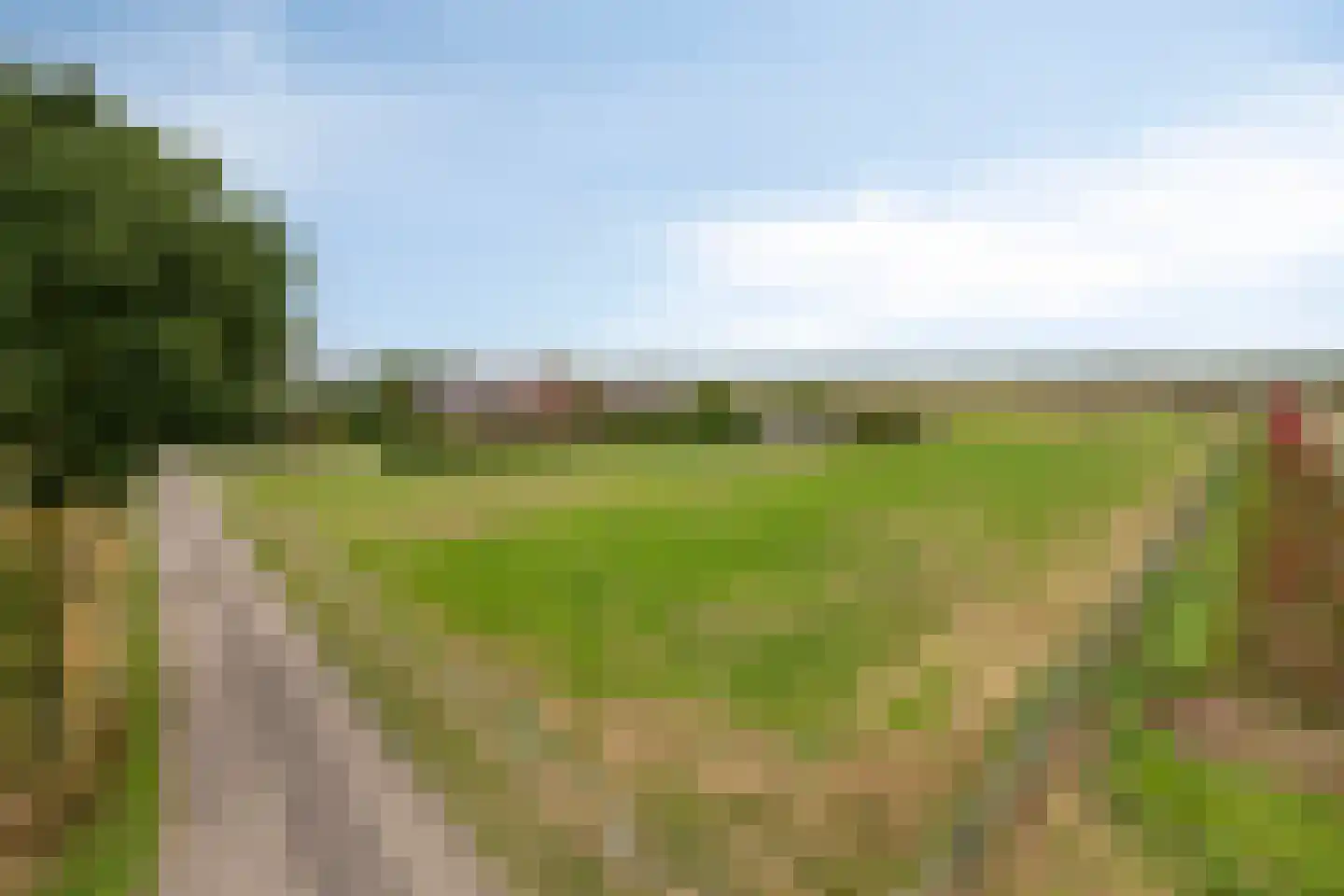 Leeuwerweg 8 Melderslo thumbnail 59