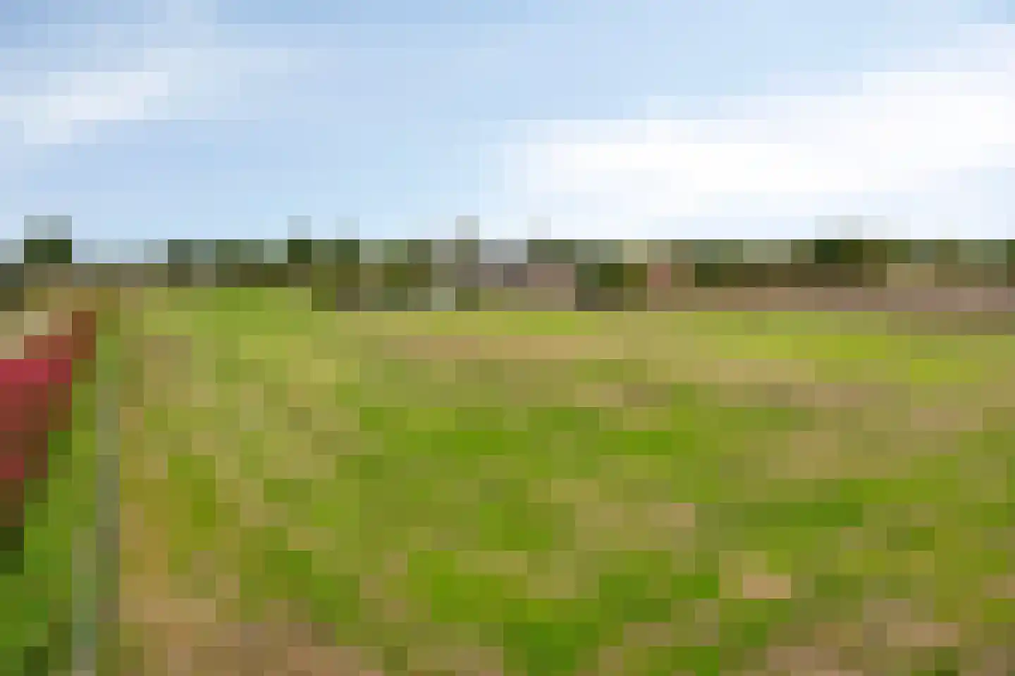 Leeuwerweg 8 Melderslo thumbnail 60