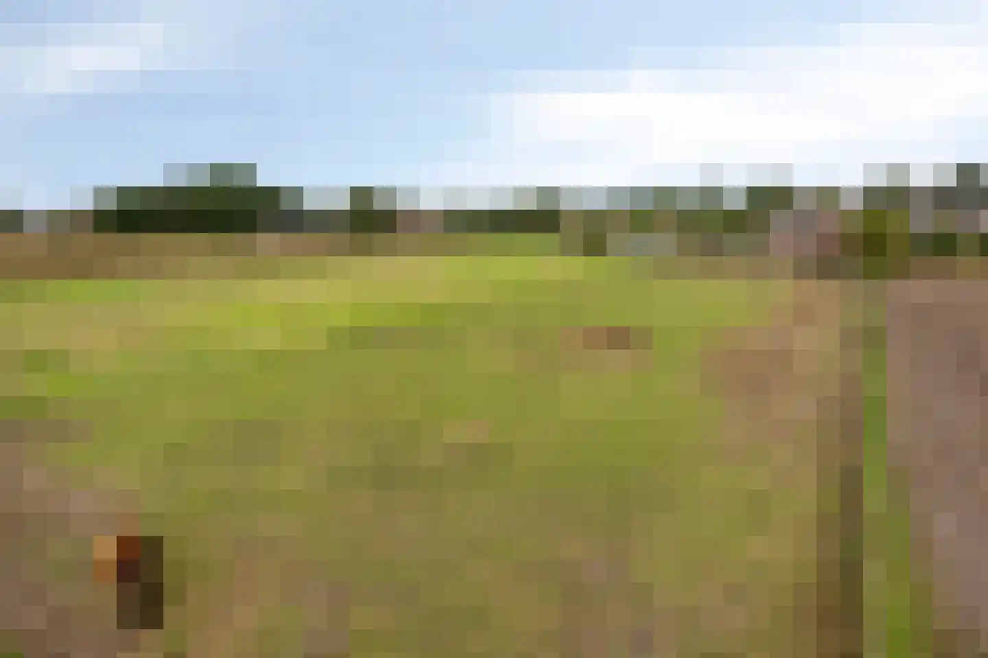 Leeuwerweg 8 Melderslo thumbnail 61