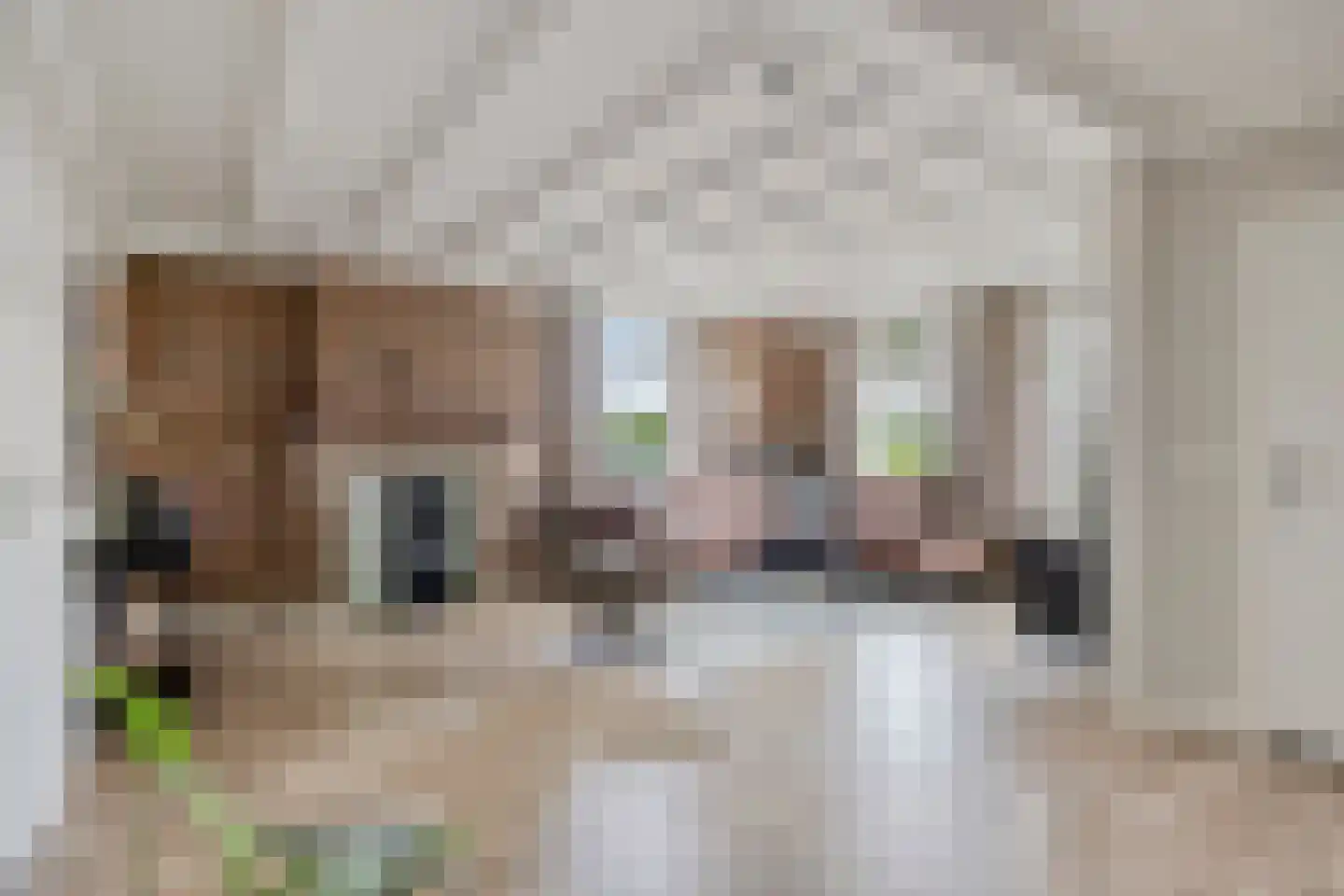 Leeuwerweg 8 Melderslo thumbnail 7