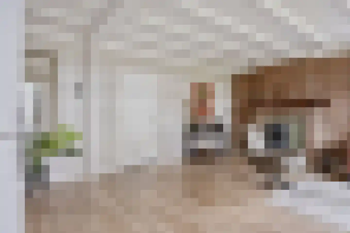 Leeuwerweg 8 Melderslo thumbnail 8
