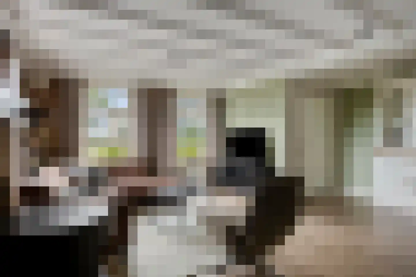 Leeuwerweg 8 Melderslo thumbnail 9