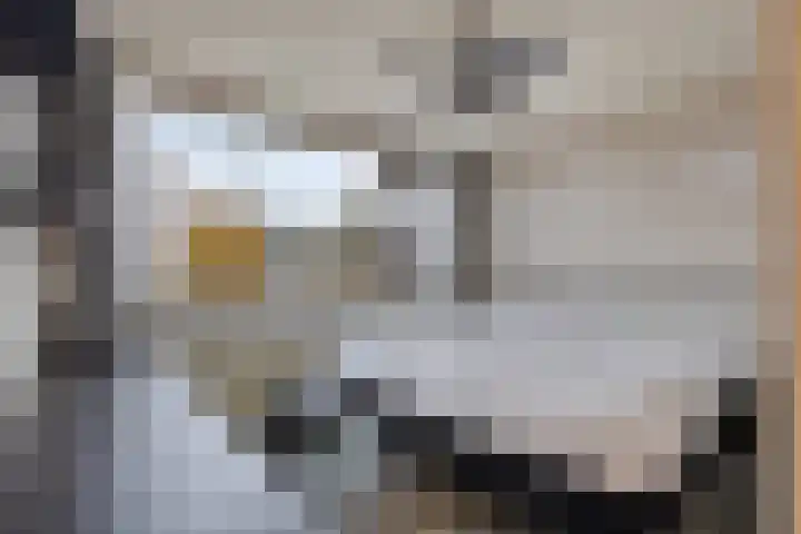 Leeuwesteijn 5 Heenvliet thumbnail 13