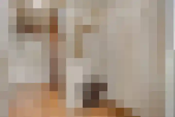 Leeuwesteijn 5 Heenvliet thumbnail 15