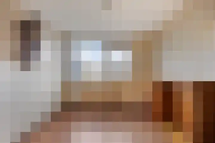 Leeuwesteijn 5 Heenvliet thumbnail 16