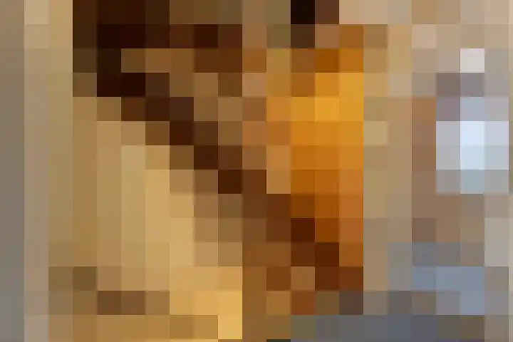 Leeuwesteijn 5 Heenvliet thumbnail 20
