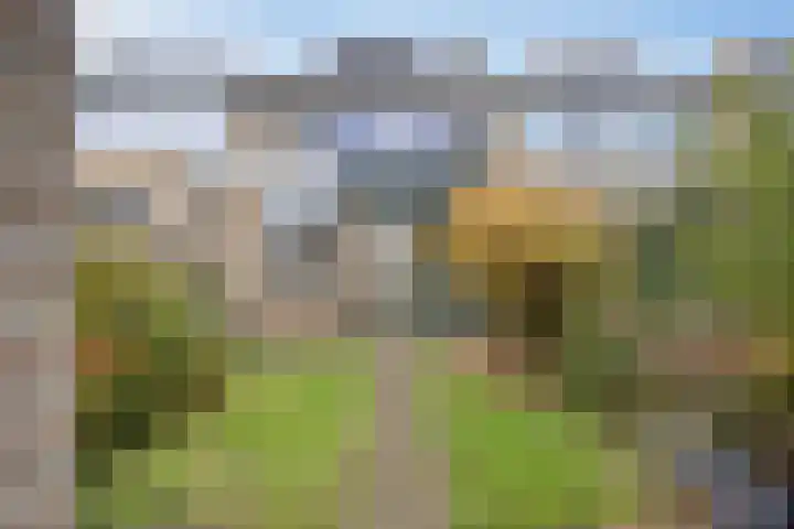 Leeuwesteijn 5 Heenvliet thumbnail 25