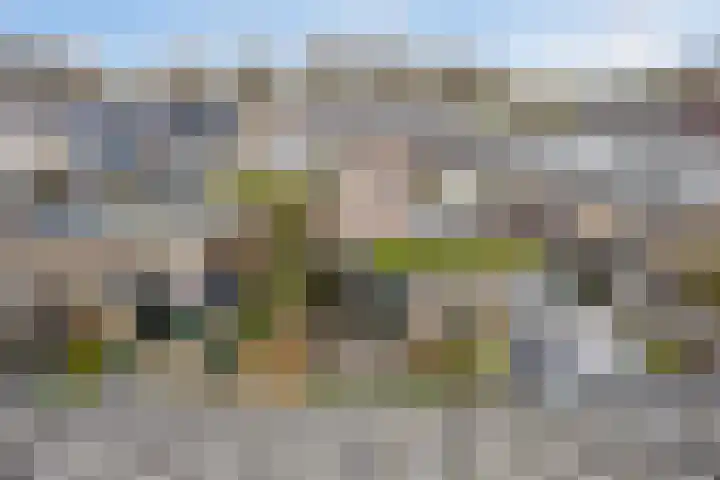 Leeuwesteijn 5 Heenvliet thumbnail 28