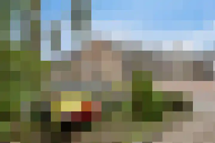 Leeuwesteijn 5 Heenvliet thumbnail 29