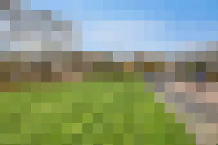 Leeuwesteijn 5 Heenvliet thumbnail 32