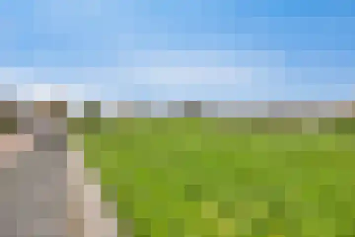 Leeuwesteijn 5 Heenvliet thumbnail 33
