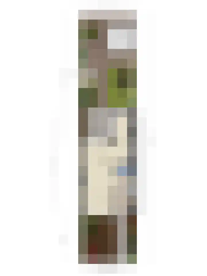 Leeuwesteijn 5 Heenvliet thumbnail 36