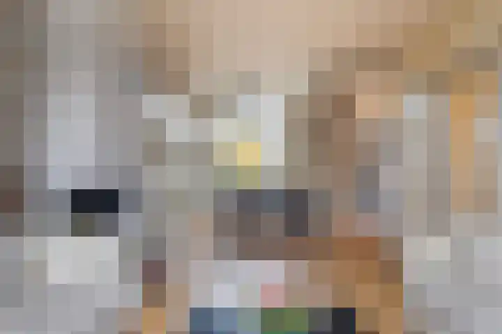 Leeuwesteijn 5 Heenvliet thumbnail 4