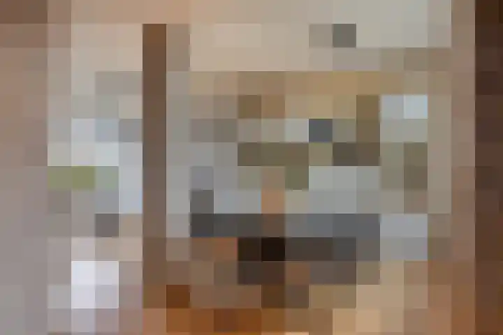 Leeuwesteijn 5 Heenvliet thumbnail 5