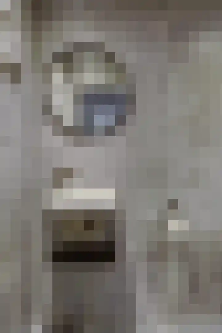 Leeuwesteijn 9 Heenvliet thumbnail 13