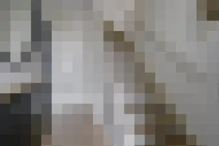 Leeuwesteijn 9 Heenvliet thumbnail 14