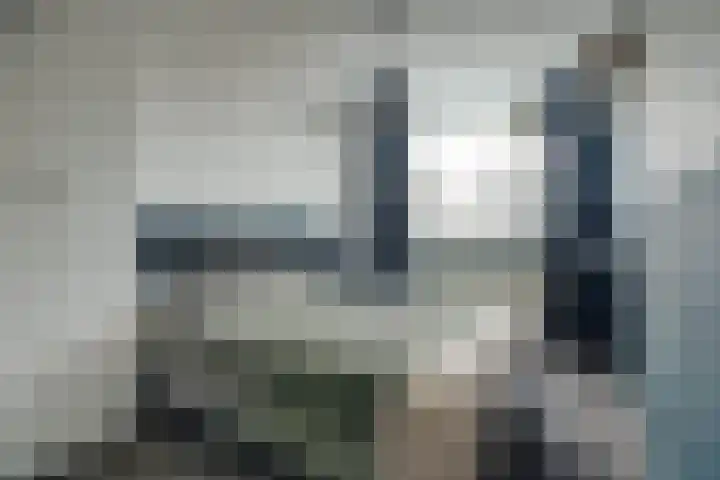 Leeuwesteijn 9 Heenvliet thumbnail 16